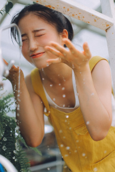 猪哥亮谢金燕